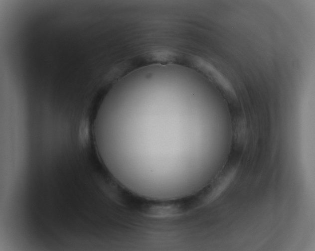 X0000102810213200808251116