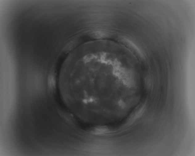 X0000102810214200808251116