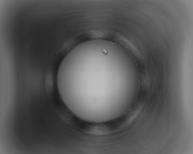 X0000102810215200808251116