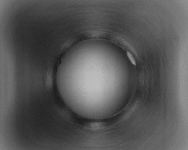 X0000102810216200808251116