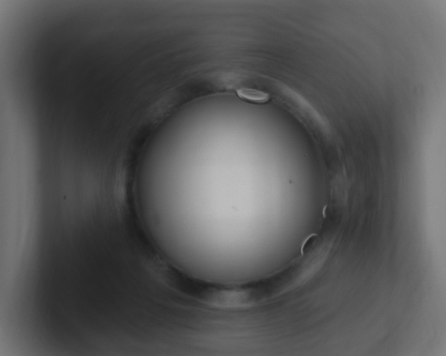 X0000102810217200808251116