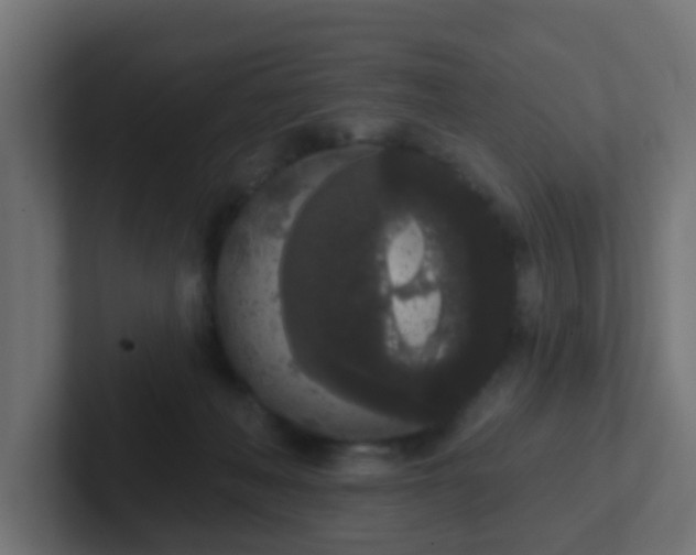 X0000102810222200808251116