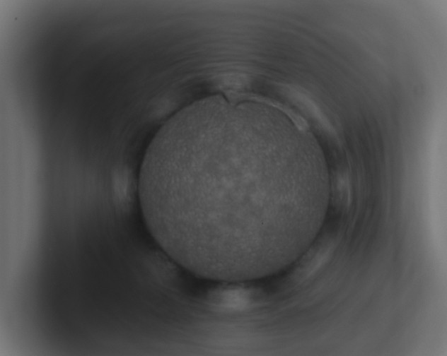 X0000102810228200808251116