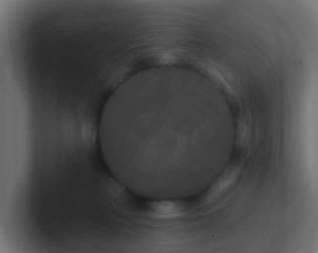 X0000102810230200808251116