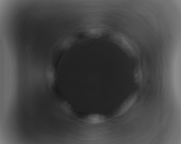 X0000102810231200808251116