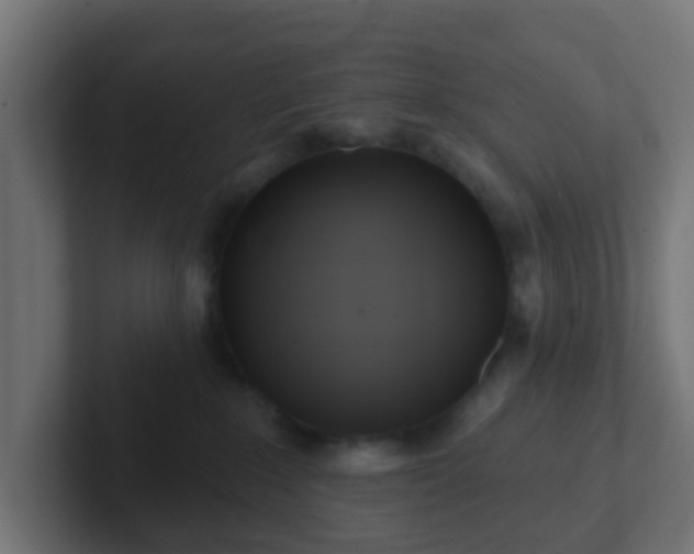 X0000102810235200808251116