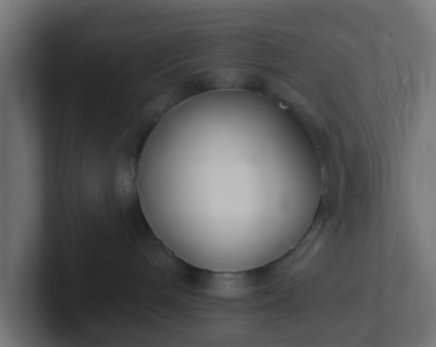 X0000102810240200808251116