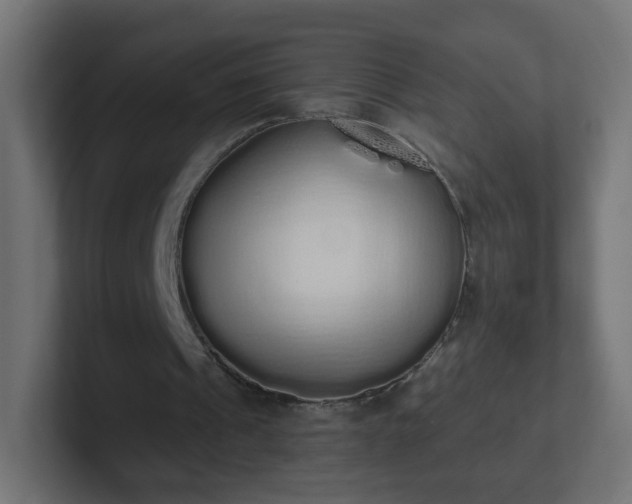 X0000102810241200808251115