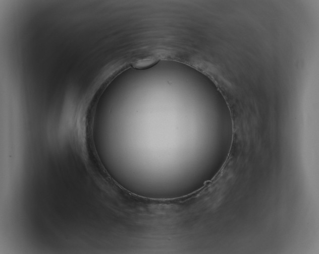 X0000102810242200808251115