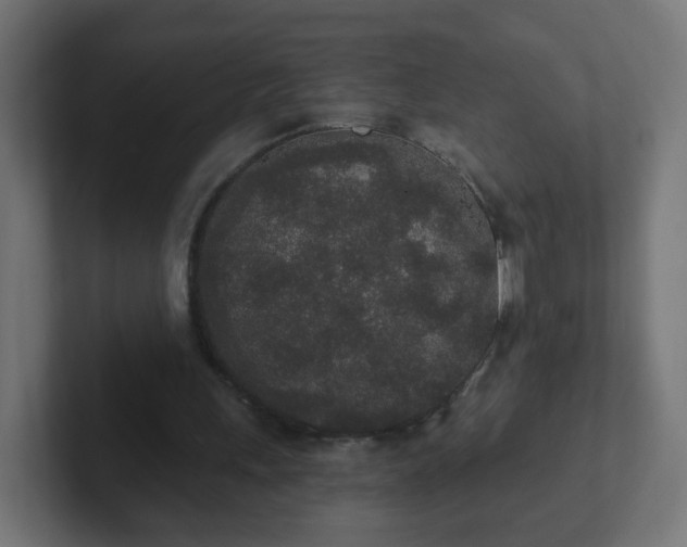 X0000102810243200808251115