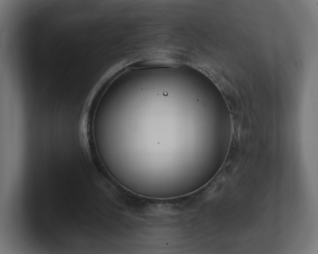 X0000102810244200808251115