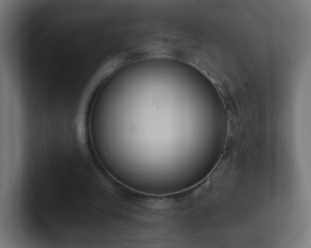 X0000102810245200808251115