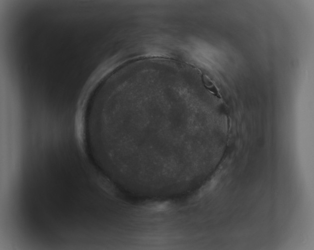 X0000102810247200808251115