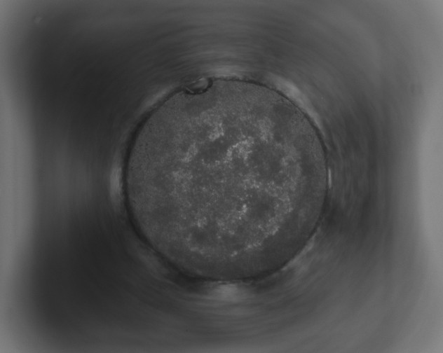 X0000102810249200808251115