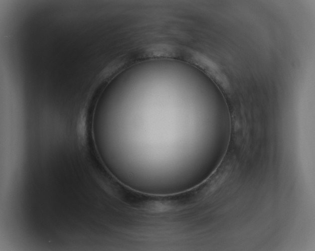 X0000102810250200808251115