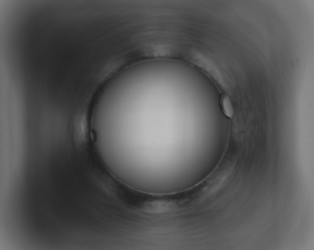 X0000102810251200808251115