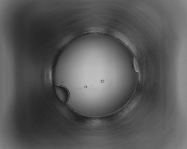 X0000102810253200808251115