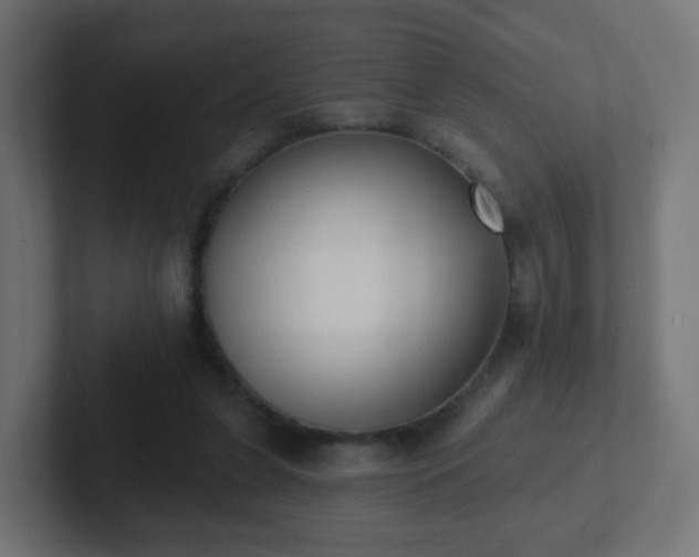 X0000102810255200808251115