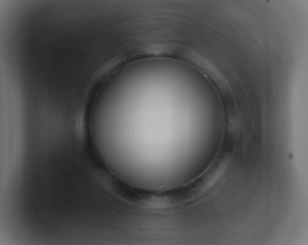 X0000102810256200808251115