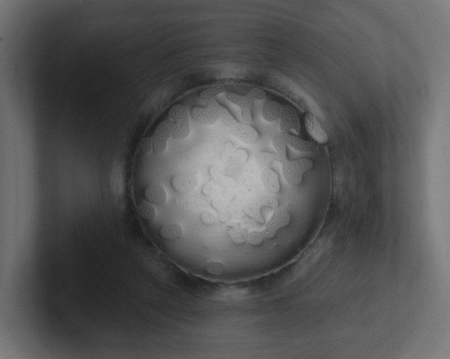 X0000102810257200808251115