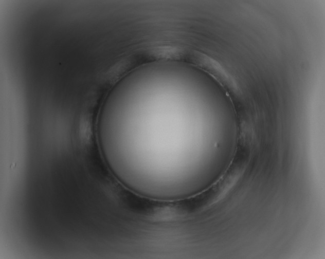 X0000102810259200808251115