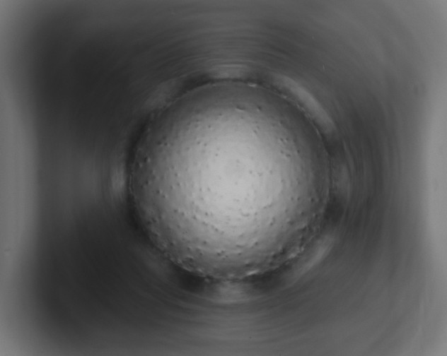 X0000102810261200808251115