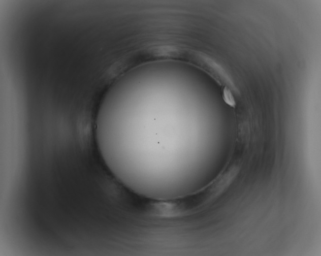 X0000102810265200808251115