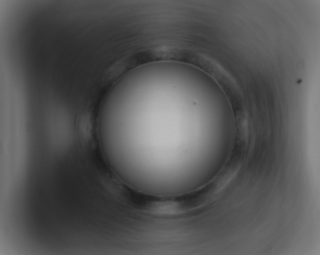 X0000102810266200808251115