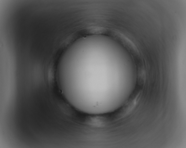 X0000102810268200808251115