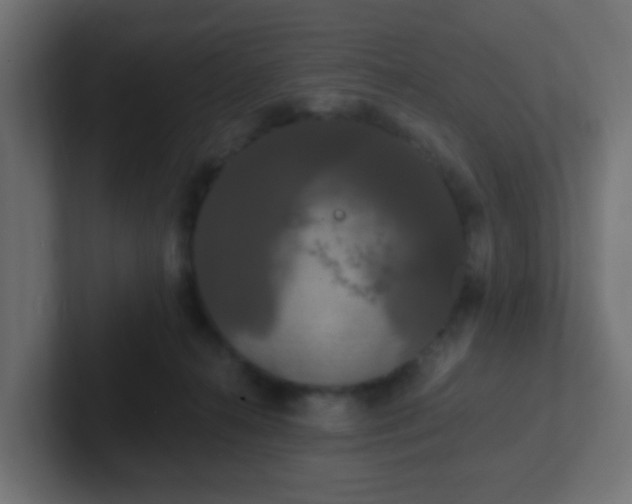 X0000102810272200808251115