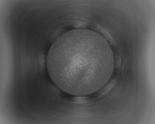 X0000102810273200808251115