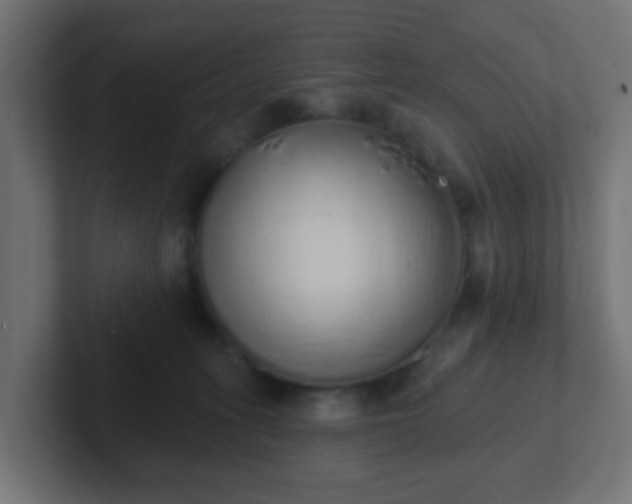 X0000102810275200808251115