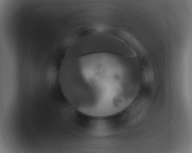 X0000102810276200808251115