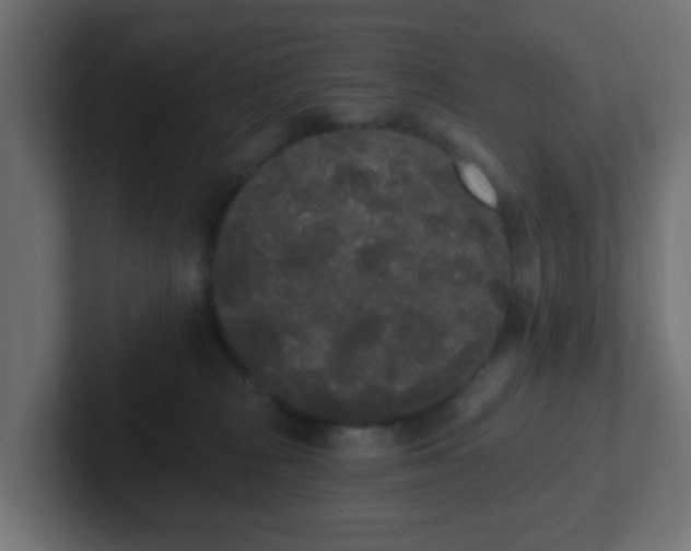 X0000102810277200808251115