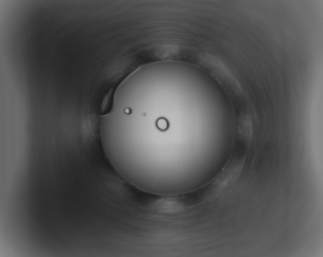 X0000102810280200808251115