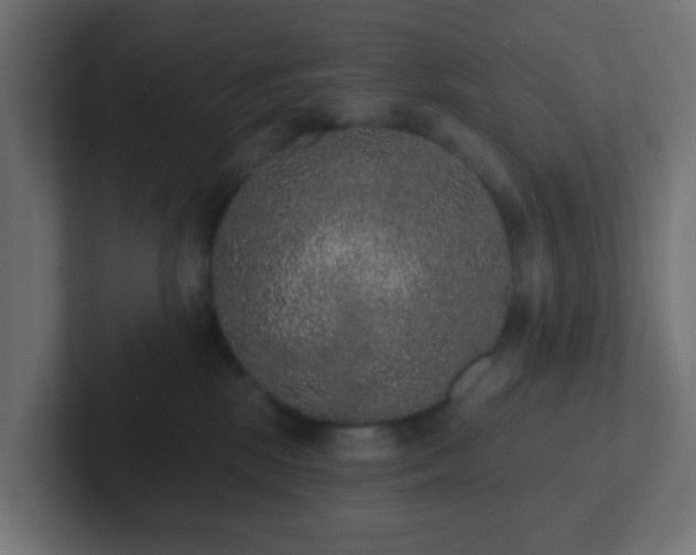 X0000102810281200808251115