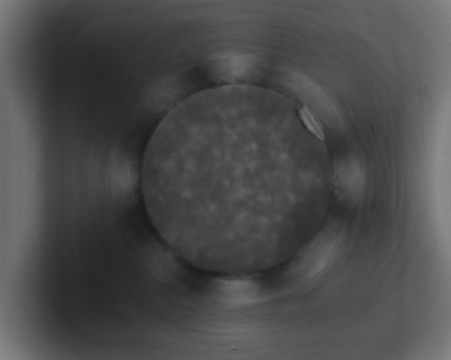 X0000102810284200808251115