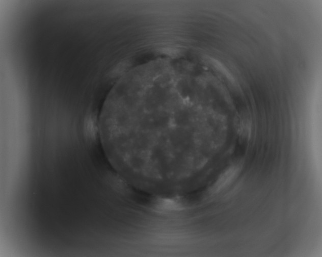 X0000102810285200808251115