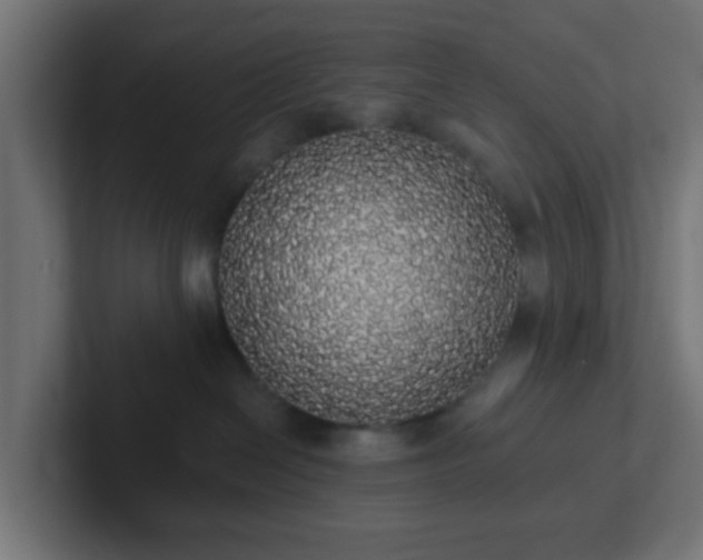 X0000102810286200808251116