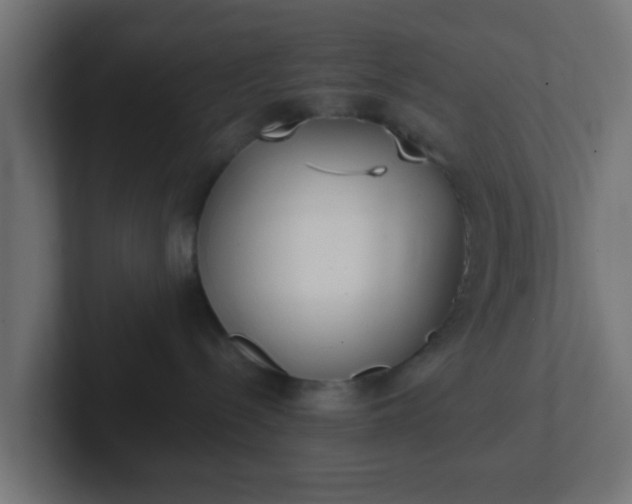 X0000102810288200808251116