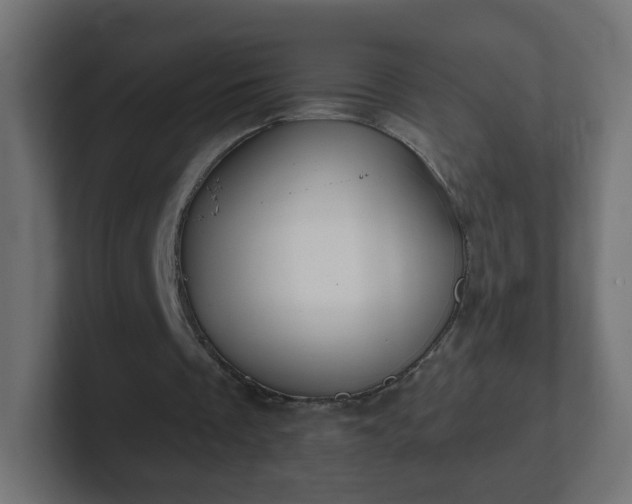 X0000102810289200808251115