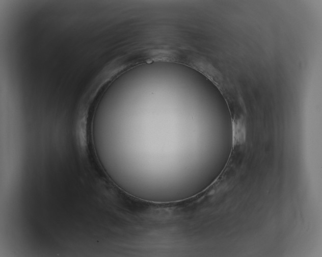 X0000102810291200808251115