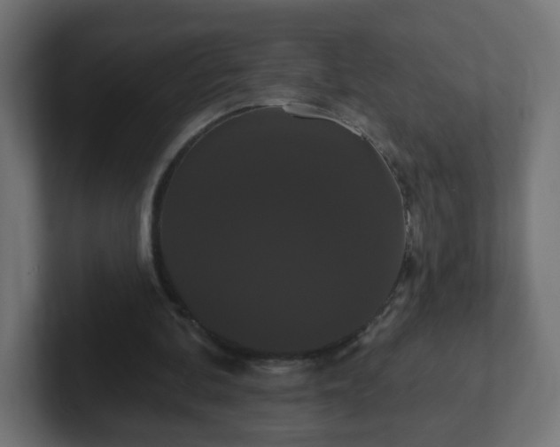 X0000102810292200808251115