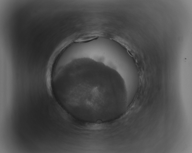 X0000102810293200808251115