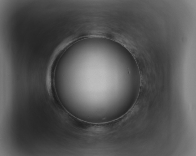 X0000102810294200808251115