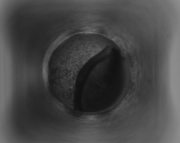 X0000102810295200808251115