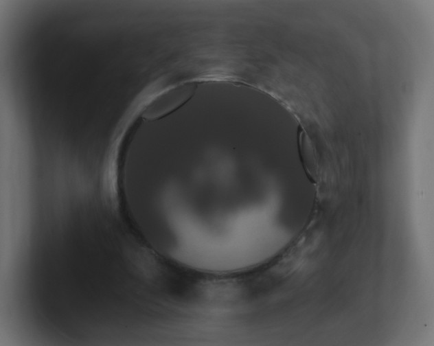 X0000102810296200808251115