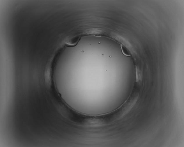 X0000102810300200808251115