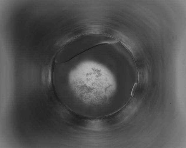 X0000102810301200808251115