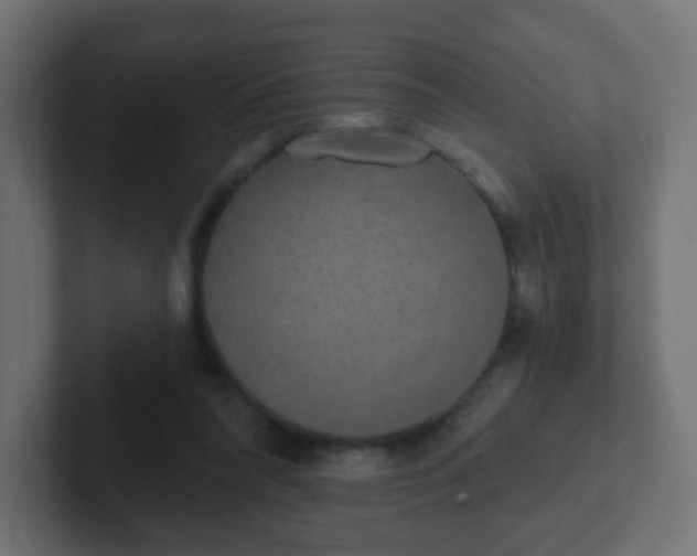 X0000102810304200808251115